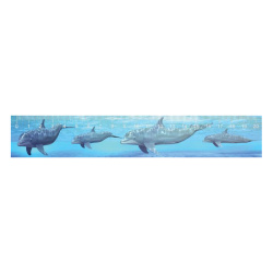 Χάρακας 3D 21 εκ. Δελφίνια
