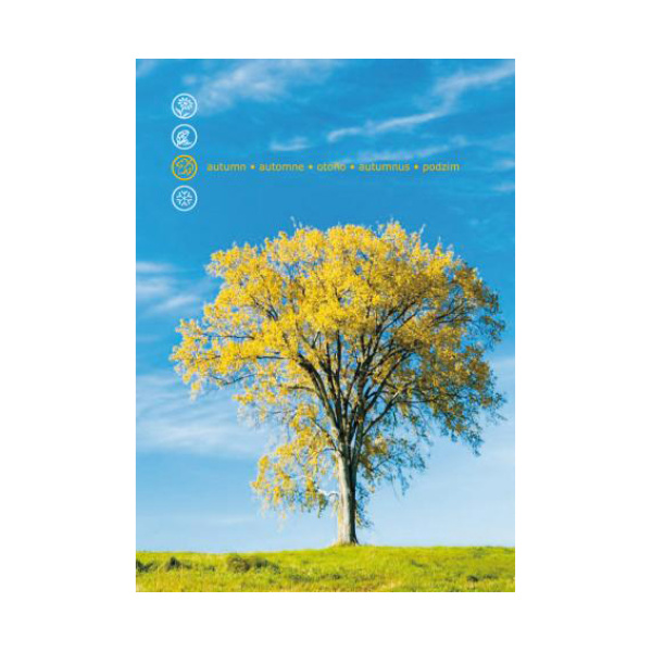 Κάρτα Post 3D Δέντρο