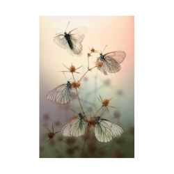 Κάρτα Post 3D Διαφανείς Πεταλούδες