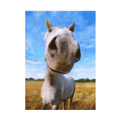Κάρτα Post 3D Χαμογελαστό Άλογο