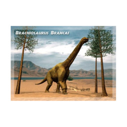 Κάρτα Post 3D Βραχιόσαυρος